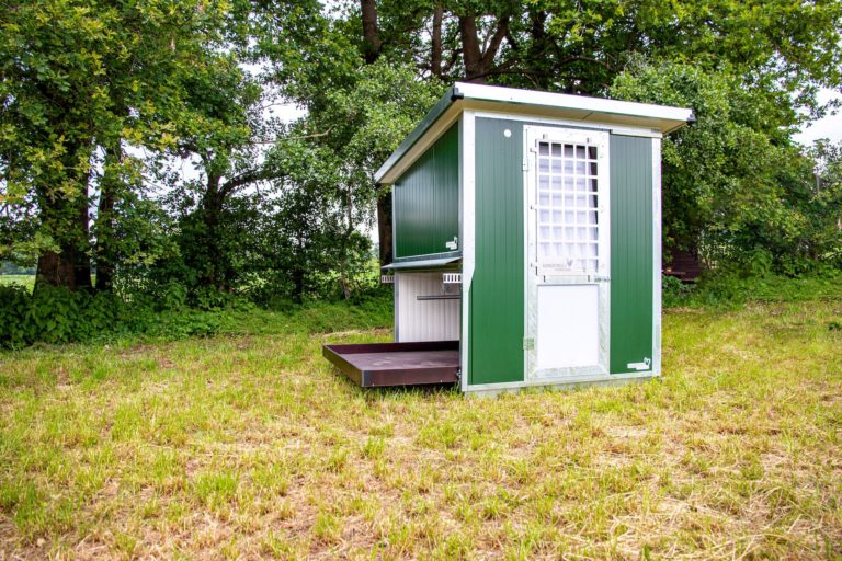 Ein mobiler Hühnerstall in Grün steht auf einer Wiese, umgeben von Bäumen.